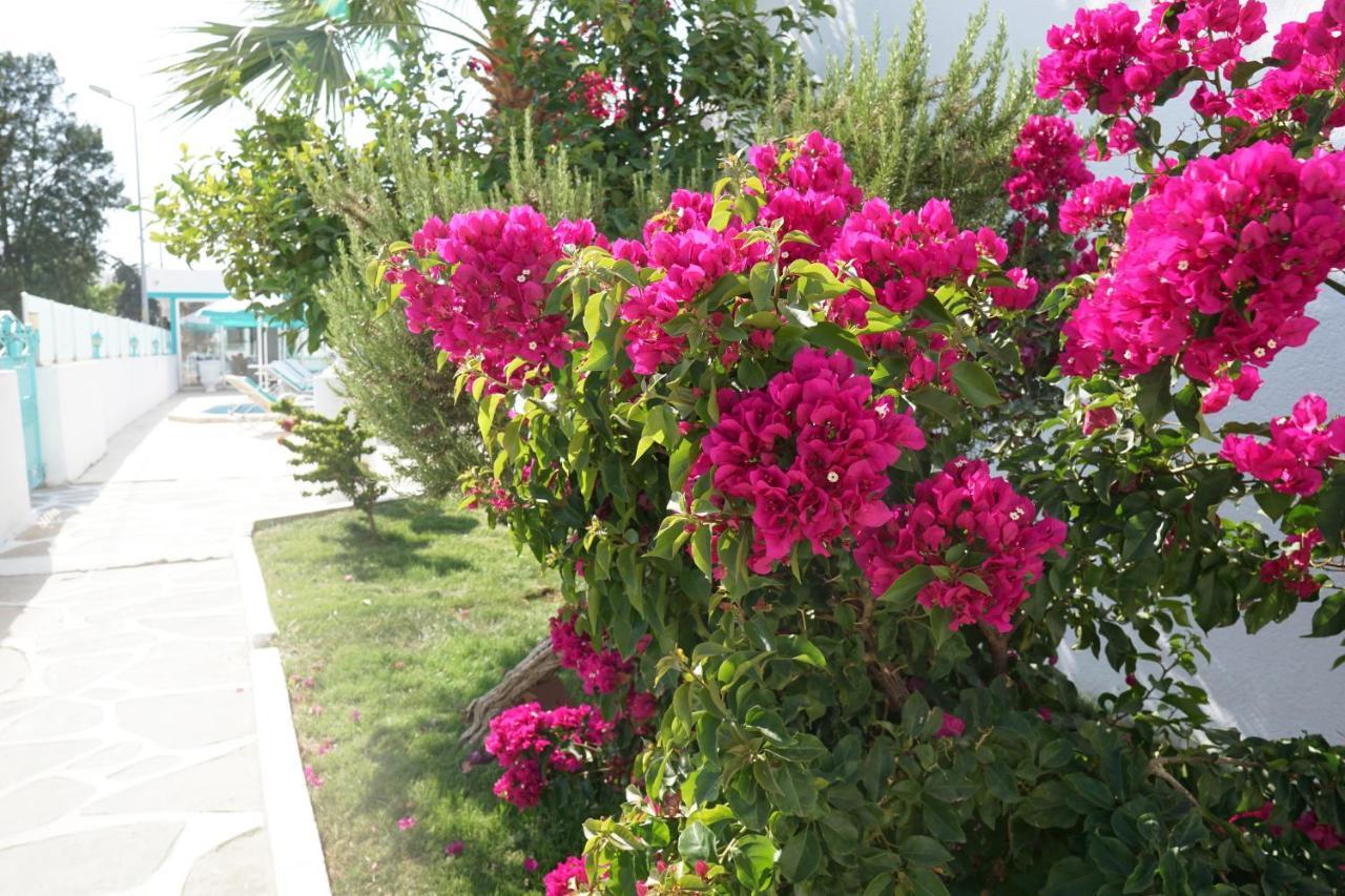 Casa Aria Hotel Gümbet Kültér fotó